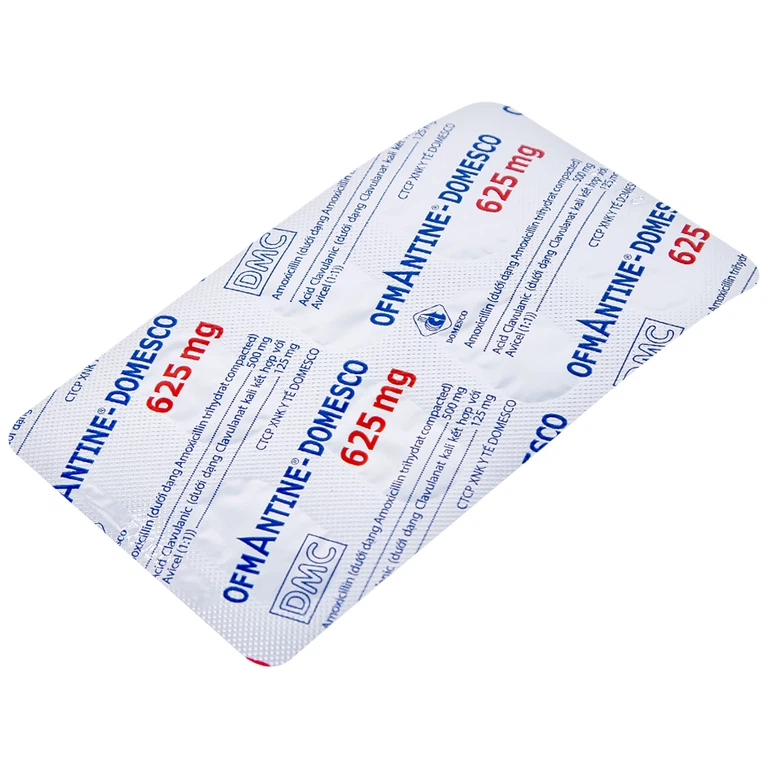 Thuốc Ofmantine Domesco 625mg - Ảnh 2