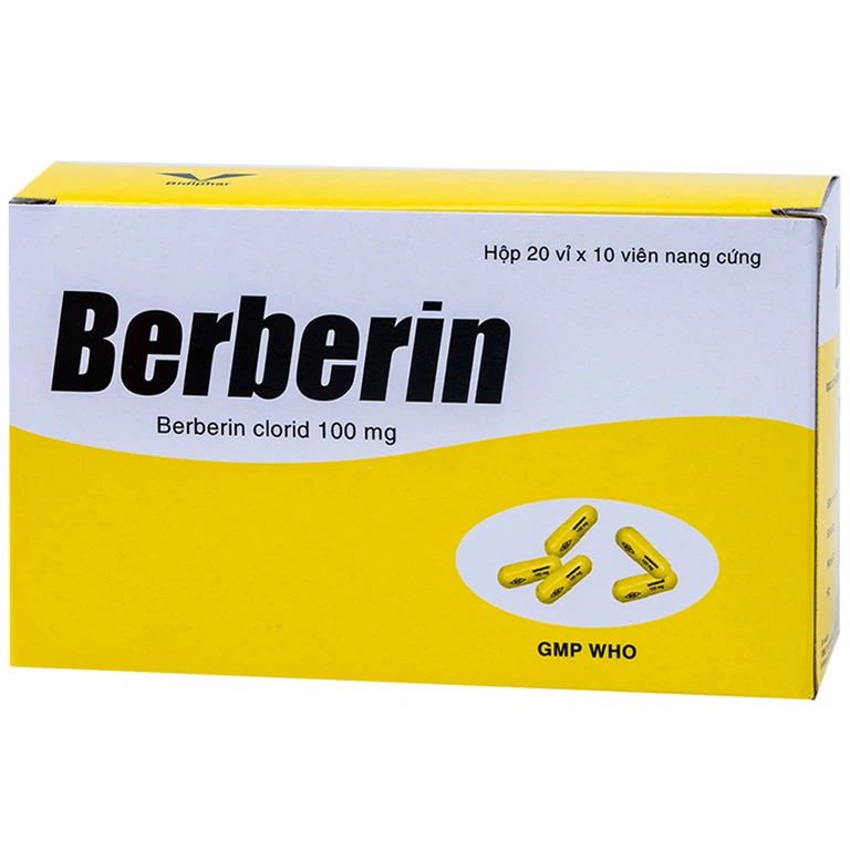 Thuốc Berberin 100mg Bidiphar